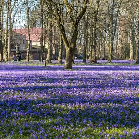 Ferienzimmer Jan *